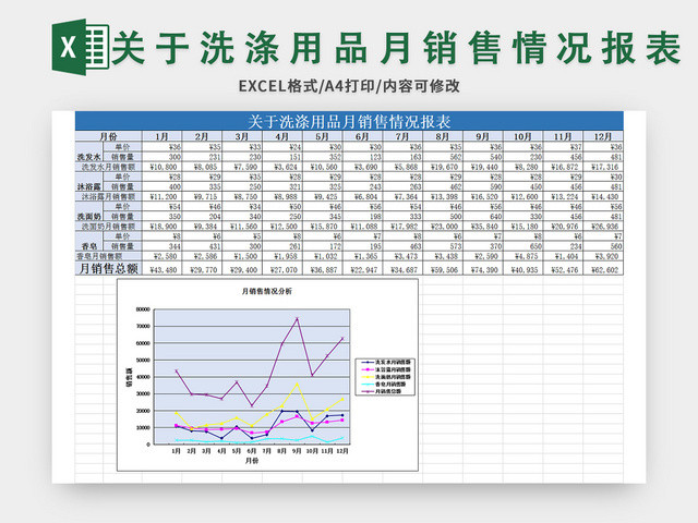 关于洗涤用品月销售情况报表EXCEL模板