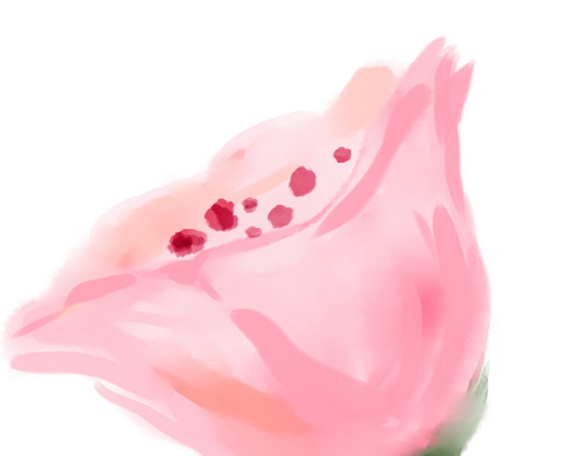 花卉素材