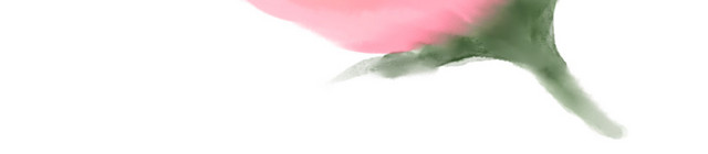 花卉素材
