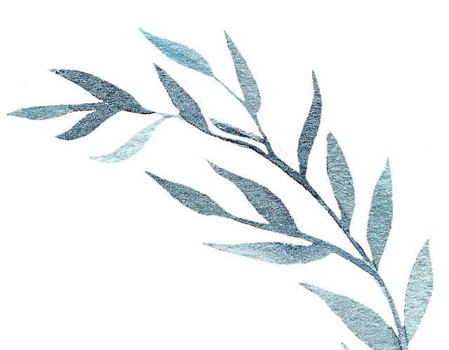 水粉树枝免抠素材