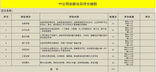 创新项目评分表