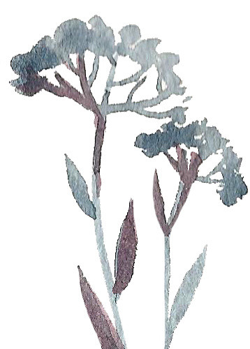 水粉树枝免抠素材
