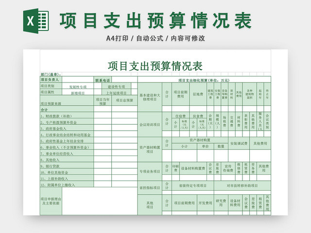 项目支出预算情况表EXCEL模板