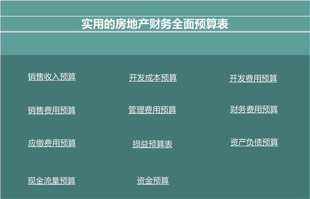 房地产财务全面预算表EXCEL模板