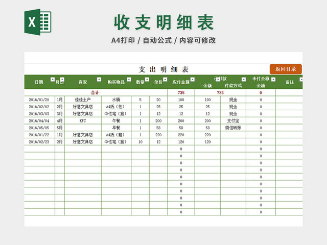财务会计收支记账明细表