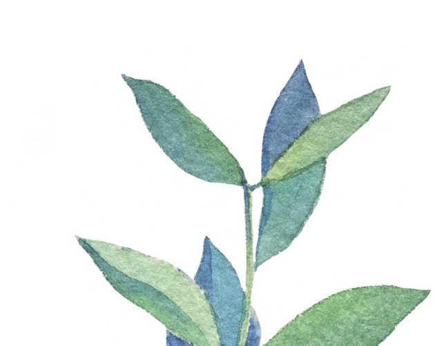 手绘叶子矢量素材