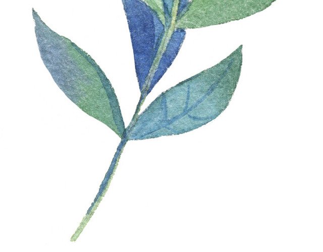 手绘叶子矢量素材
