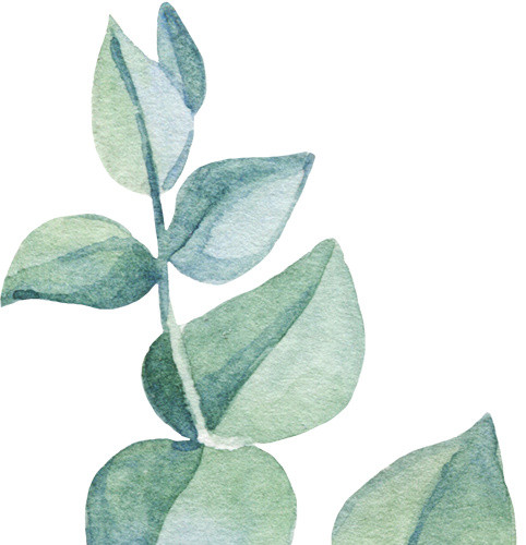 手绘叶子矢量素材