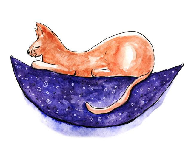 手绘猫咪矢量素材