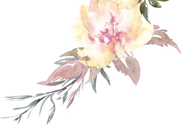 鲜花免抠素材