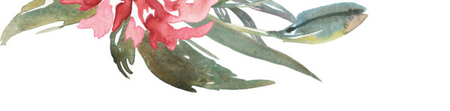 鲜花免抠素材