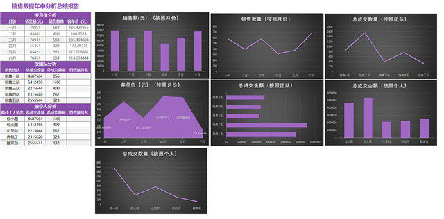 销售数据年中分析总结报告