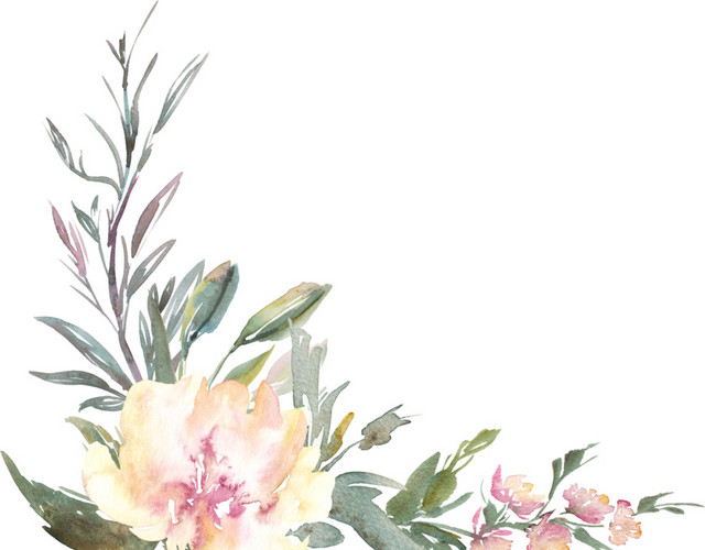 花卉免抠素材