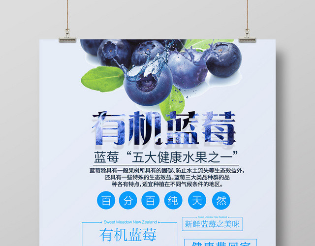 蓝色有机天然新鲜蓝莓水果海报