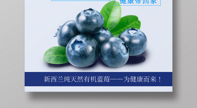 蓝色有机天然新鲜蓝莓水果海报