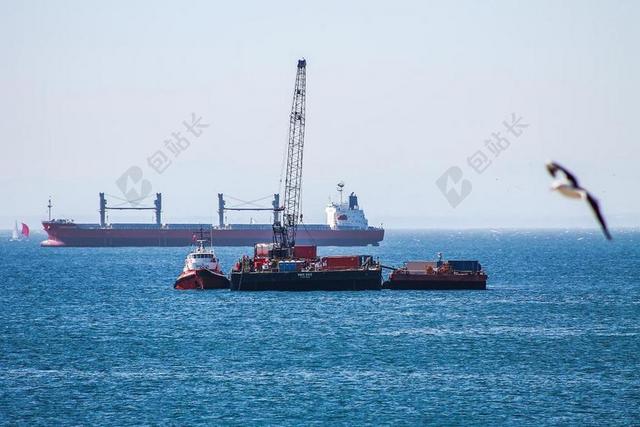 瓦尔帕莱索 船 油 海 鸟 天空 海滩 翅膀 海鸥 端口
