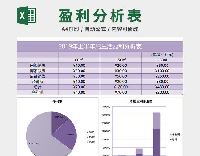 公司生活盈利分析表