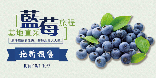 小清新基地直采新鲜蓝莓水果展板