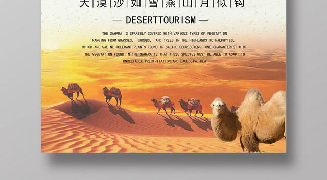 金色夕阳骆驼沙漠行走旅行旅游海报