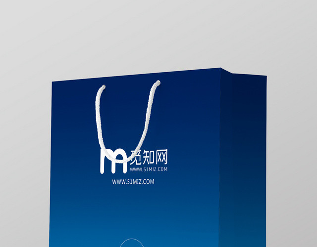 商业网络科技包装手提袋