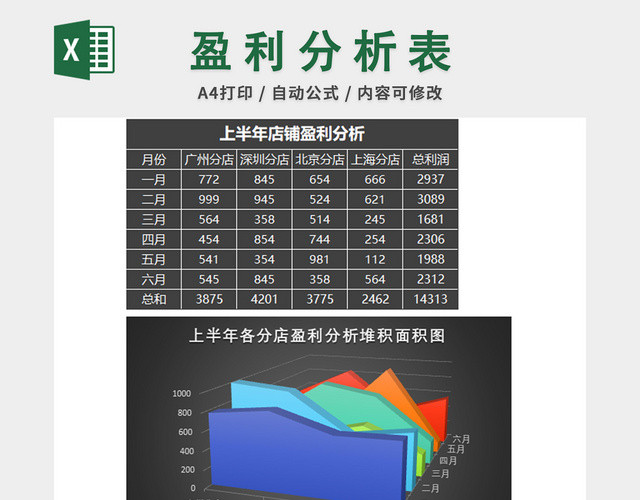 财务收支记账报告表