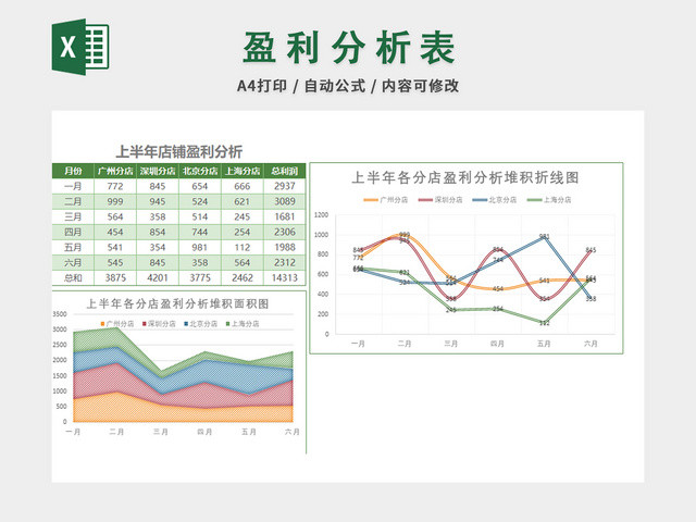 财务收支记账报告表