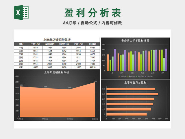 财务收支记账报告表