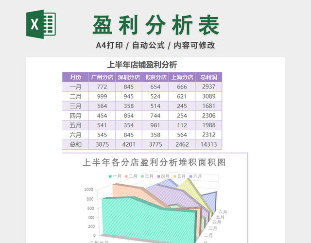 财务收支记账报告表