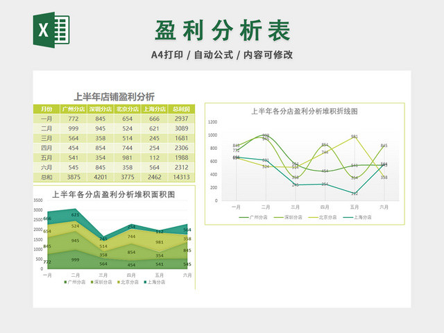 财务收支记账报告表