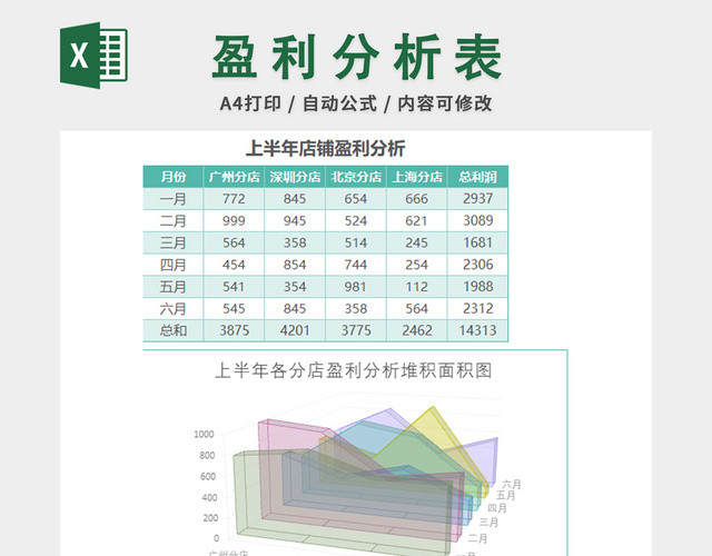 财务收支记账报告表