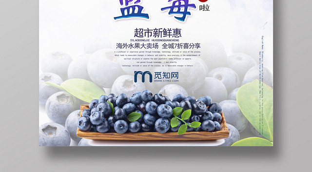 蓝色个性创意水果蓝莓海报