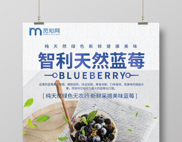 蓝色天然智利水果新鲜蓝莓海报