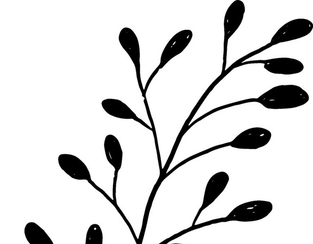 黑色手绘素描叶子矢量图片