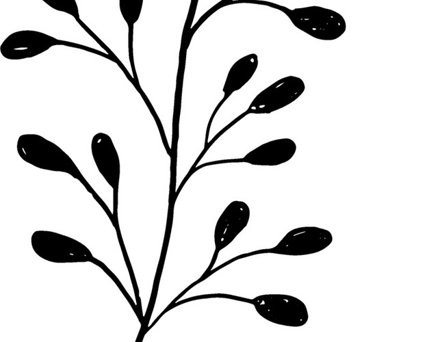 黑色手绘素描叶子矢量图片