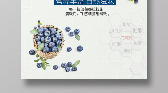 简约风蓝色水果天然蓝莓海报设计