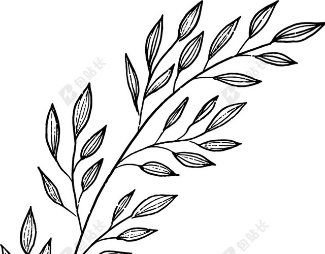 黑色手绘素描叶子矢量图片