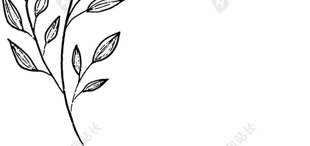 黑色手绘素描叶子矢量图片