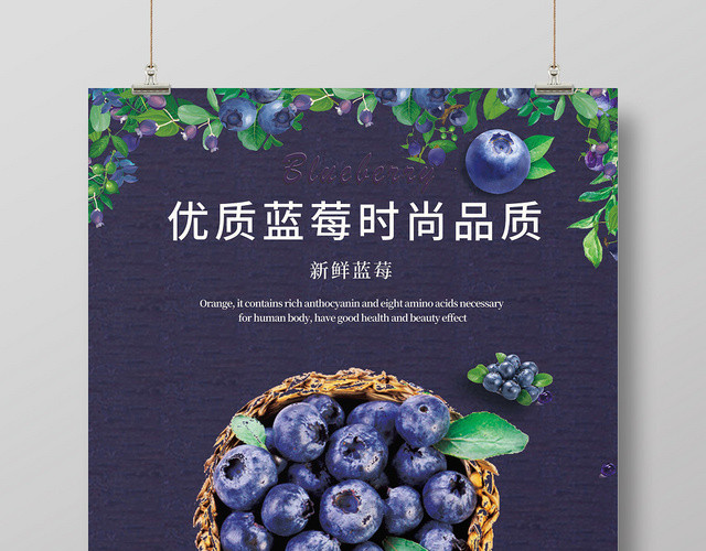 紫色品质优质蓝莓时尚品质促销海报