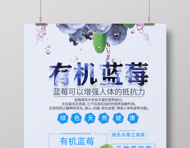 浅蓝色简约清新水果蓝莓海报