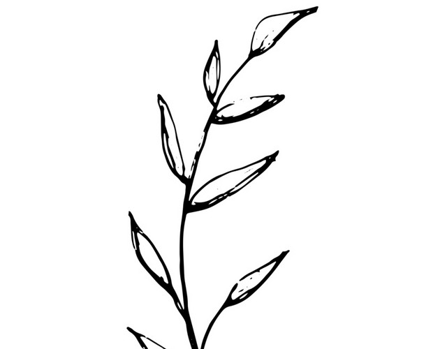 手绘黑白素材