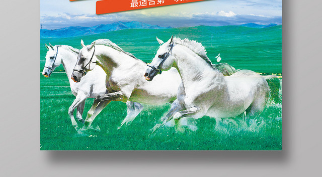 小清新穿越内蒙古大草原旅游宣传海报