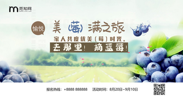 青色个性创意水果蓝莓单面展板