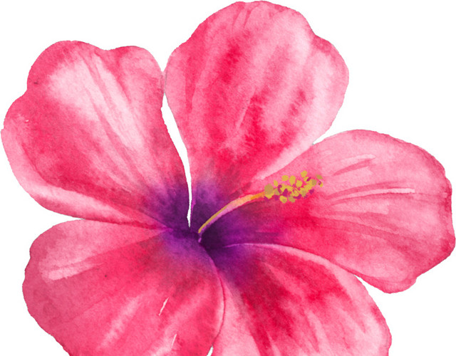 水彩红色鲜花