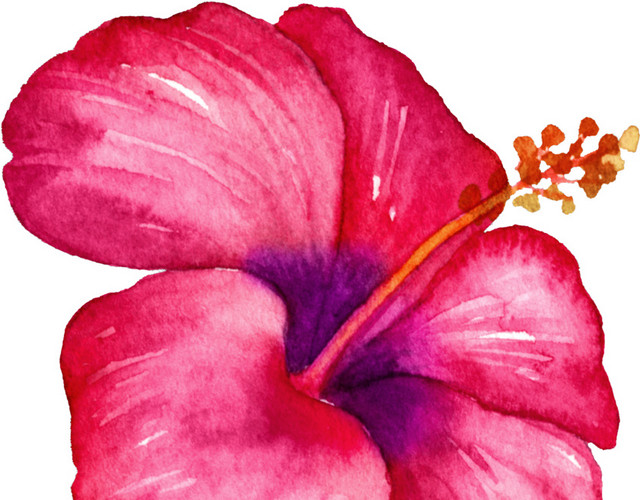 水彩红色鲜花