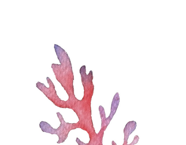 水彩珊瑚