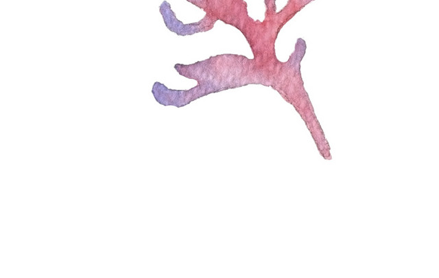水彩珊瑚