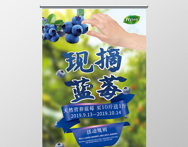 纯天然水果新鲜现摘蓝莓易拉宝设计