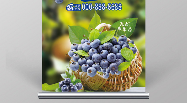 纯天然水果新鲜现摘蓝莓易拉宝设计