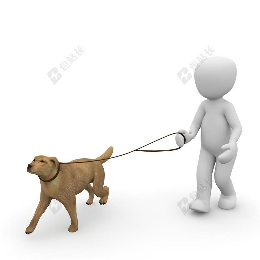 狗 GASS​​I 去 运行 皮带 步行 去对讲机 那条狗绳