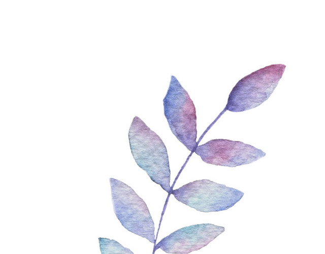 水彩海草
